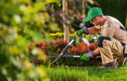 Garden Maintenance in Dubai