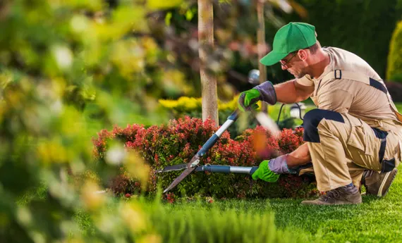 Garden Maintenance in Dubai