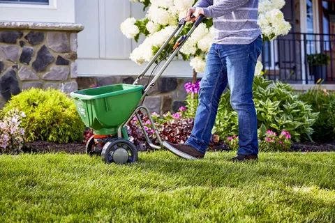 Landscaping Services Dubai