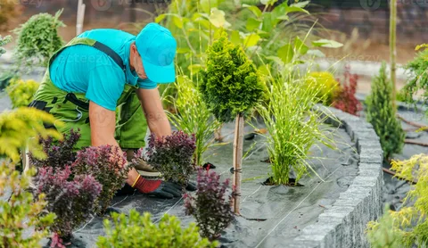 Garden Maintenance in Dubai