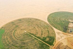 irrigation system Dubai