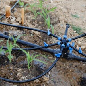 Irrigation System Installation Dubai Hills